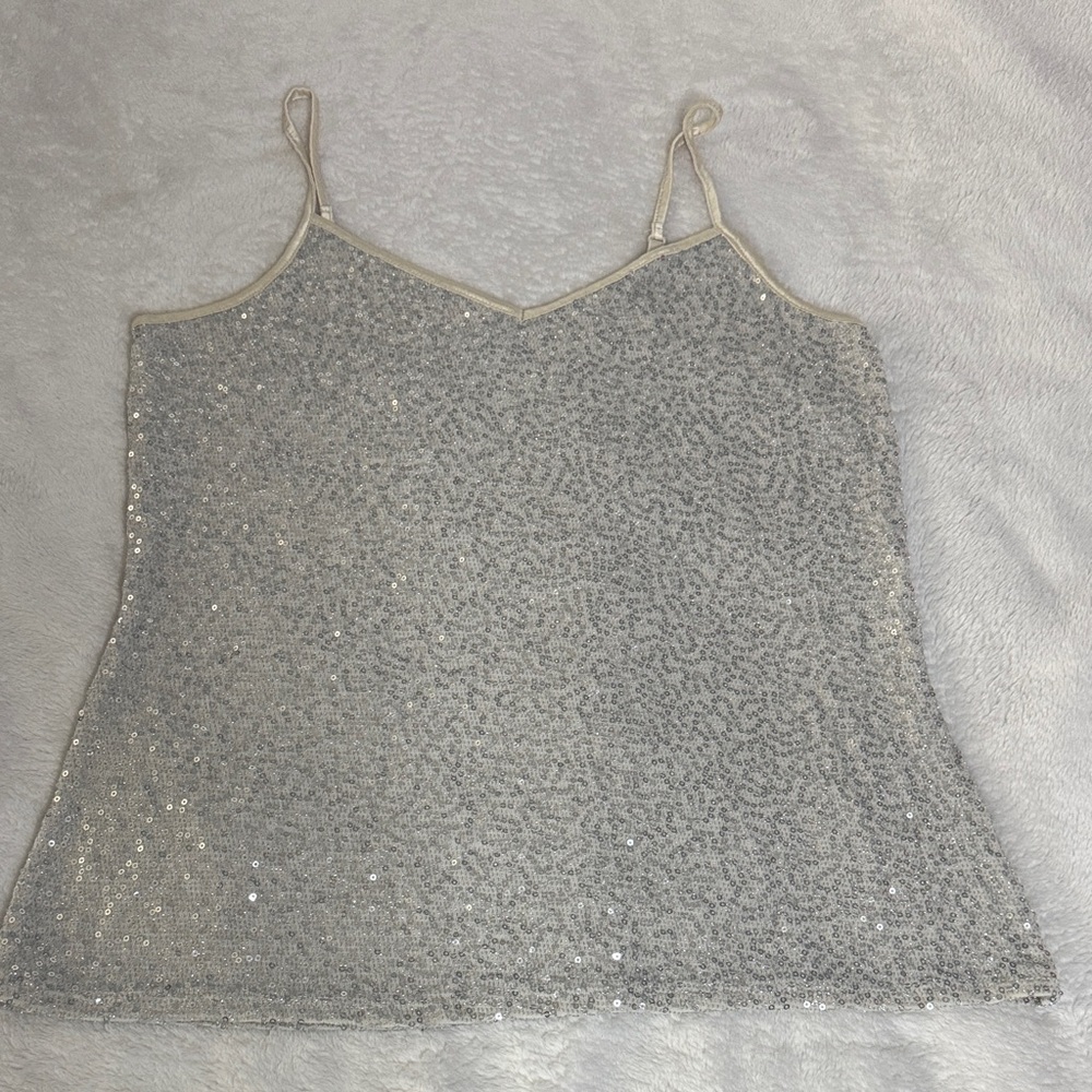 Express Silver Sequin Camisole Top